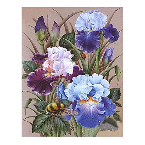 Kimily Flower DIY Paint by Numbers for Adults Kids Purple Iris Paint by Numbers DIY Painting Iris Flowers Acrylic Paint by Numbers Painting Kit Home Wall Living Room Bedroom Decor Purple Iris Flowers