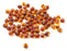 TipTopEco Loose Baltic Amber Beads Supplies for Jewelry Making - 10 Grams - 4-7 mm Size - with 1 mm drilled Holes (Cognac, 6-7 mm)