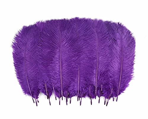 Hollosport 30 PCS Ostrich Feathers,Bulk Soft Natural Feathers for Crafts Centerpieces Party Wedding Home Decorations Dream Catchers Vases (Purple 10-12 Inch)