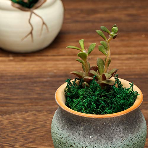 WILLBOND Artificial Moss Green Dried Moss Decorative Fake Bulk Moss for Flower Plant Garden Lawn Crafts Wedding Decoration