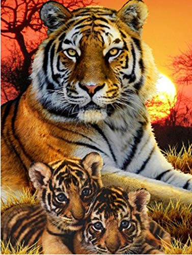 5D Full Drill Tigers Diamond Painting Kit,UNIME DIY Diamond Rhinestone Painting Kits for Adults and Children Birds Diamond Arts Craft, 12 x 16 inch (Tiger Diamond Painting Kit)