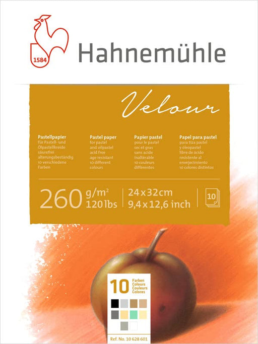 Hahnemuhle Pastel 10 Color Velour Pad 9.25x12.5 Inches 260gsm 10 Sheets