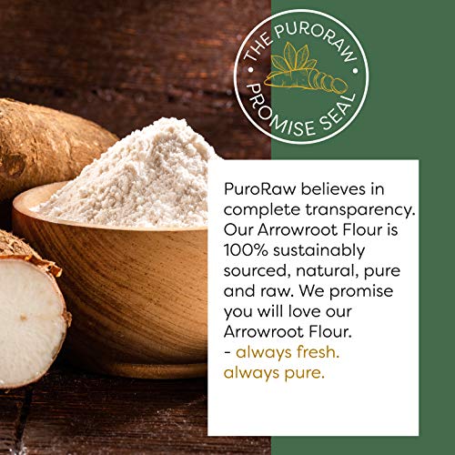Arrowroot Powder 2lb, Gluten Free Flour, Arrowroot Starch, Arrowroot Flour, Pure Arrow Root Powder, Paleo, All Natural, Non-GMO, Batch Tested, Product of Thailand, 2 Pounds, By PuroRaw.