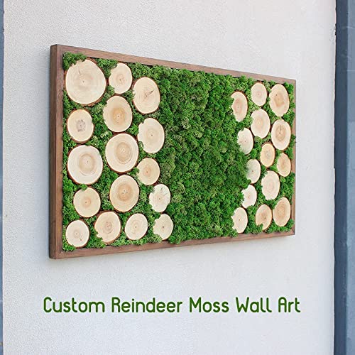 prefleur Preserved Reindeer Craft Moss Natural Green DIY Kit Terrariums Gardenning Art Wall Florist Decor Easter Table Decor Wedding Decor (3 OZ)(Green-02)