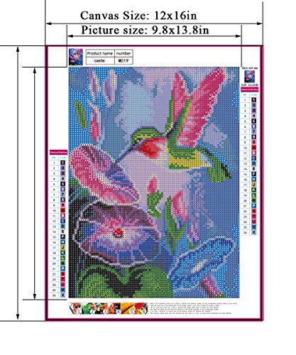 DIY 5D Diamond Painting Kits for Adults Full Round Drill Crystal Embroidery Cross Stitch Mosaic Arts Craft Home Wall Décor (30X40cm, Hummingbird)