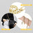 6 Pcs Purse Extender Chain 7.9 Inch, Purse Strap Extender, DIY Flat Chain Purse Strap Handbag Replacement Strap with Metal Buckles for Wallet Shoulder Bag Decoration, Light Gold, Sliver