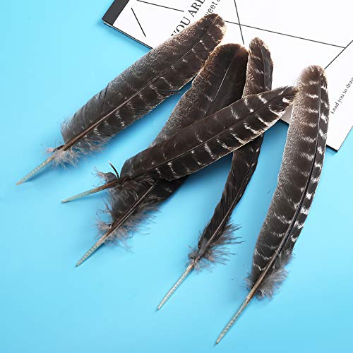 20pcs Wild Turkey Feathers Decoration - Feather for Craft Headdress Home Wedding Centerpieces 8-10inch