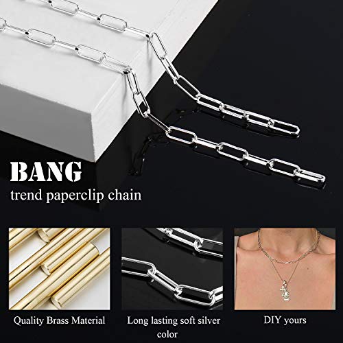 ALEXCRAFT 12 Feet Silver Plated Brass Paperclip Chain Link Bulk for Jewelry Making (4x10mm)