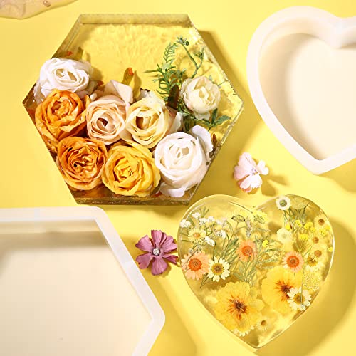 5Pack Large Silicone Molds for Resin Glossy Deep Square Molds Hexagon Silicone Molds Heart Bookends Resin Mold with 3 Pcs Round Epoxy Resin Molds for Flowers Preservation DIY Art Making Home Decor