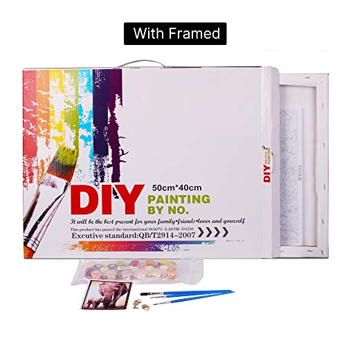 RIHE DIY Oil Painting Paint by Numbers Kits Mounted on Wood Frame with Brushes Painting Kits on Canvas for Adults Kids Flower Theme- Flower 16x20 Inch(with Wood Frame)