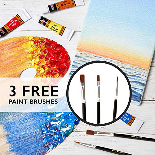 Acrylic Paint Set 24 Colors (0.41 oz, 12 ml) Paint Kit For Artists & Beginners Craft Paints for Paper,Canvas,Rock Painting,Wood,Ceramic & Fabric Vibrant -Non-Toxic including 3 paint brushes