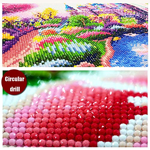 DIY 5D Diamond Painting Kit, 16"X12" Ellsa Ana Round Full Drill Crystal Rhinestone Embroidery Cross Stitch Arts Craft Canvas for Home Wall Decor Adults and Kids