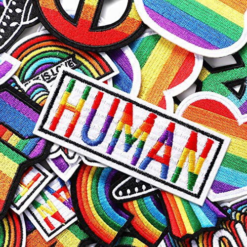 22 Pcs Rainbow Pride Embroidered Iron on Patch Heart Flag Smile Rainbow Patch Assorted Sewing Applique Patches for DIY Craft Clothing Backpacks Badge Accessories, 11 Styles, Rainbow Color