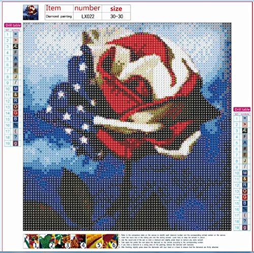 DIY 5D Diamond Painting by Number Kit for Adult, Full Drill Crystal Rhinestone Embroidery Cross Stitch Diamond Embroidery Dotz Kit Home Decor 12×12 Inch America Rose
