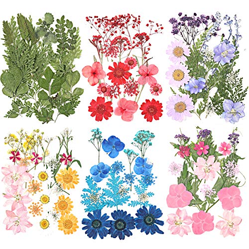 115 Pieces Real Dried Pressed Flowers Leaves Natural Dried Flowers DIY Pressed Flowers Mixed Flowers Colorful Daisy, Rose, Narcissus for Resin Jewellery Nail Pendant Crafts Making Supplies