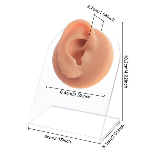 OLYCRAFT Right Ear Displays Model Silicone Ear Model Rubber Ear Silicone Flexible Ear Model Ear Displays Model for Teaching Tools Jewelry Display Earrings, Professional Piercings Practice