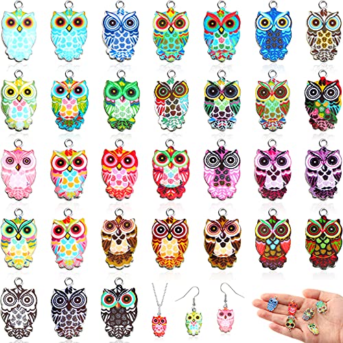 62 Pieces Halloween Owl Enamel Charms for Jewelry Making Colorful Owl Charms Pendant DIY Owl Charms Jewelry Crafting Accessories for Earrings Necklaces Bracelets, 31 Colors