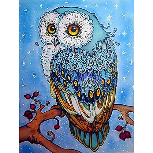 Owl Portrait Diamond Painting Kits for Adults, Kids 5D DIY Full Drill Round Crystal Rhinestone Embroidery Arts Craft Birds in The Branch Picture Wall Decor Gift 12x16 inch (Without Frame)