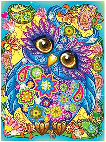 Binbo Animal 5D Diamond Painting – DIY Diamond Painting Kits for Adults and Kids - Full Round Drill Crystal Rhinestone Arts, Decorated On Wall for Home (Cute Colorful owl 13.8X17.7inch)