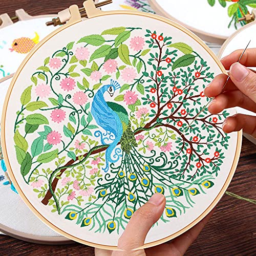 Embroidery Starter Kit with Peacock Pattern and Instructions, Embroidery kit for Beginners, Cross Stitch Set, Full Range of Stamped Embroidery Kits (Peacock)