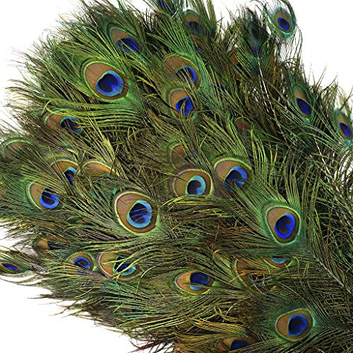 Natural Long Peacock Eye Feathers - 40-45" 10pc Wedding Home Decoration DIY Craft