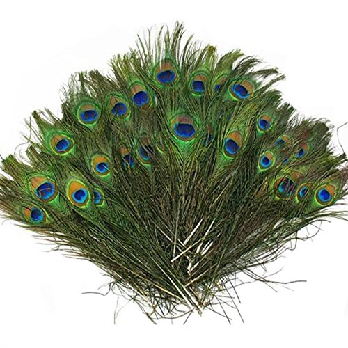 Vivian Beautiful Natural Peacock Feathers Eye Peacock Tail Feathers 10"-12" Pack of 20pcs