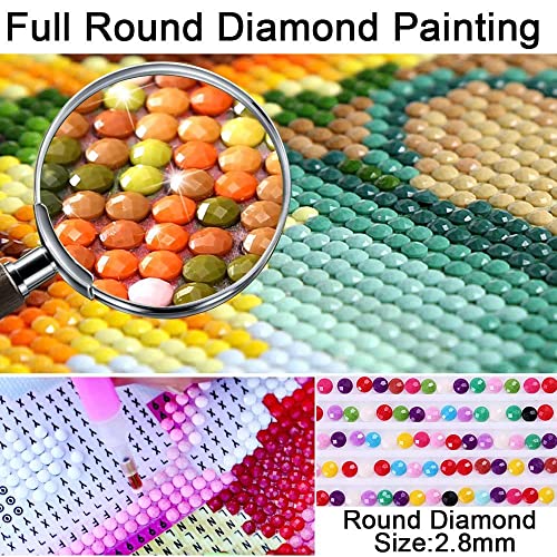 honrtreb DIY 5D Diamond Painting Anime by Number Kits for Adults,Anime Diamond Painting Kits Round Full Drill Diamond Art Kits Clear 30X40cm/11.8X15.7inch