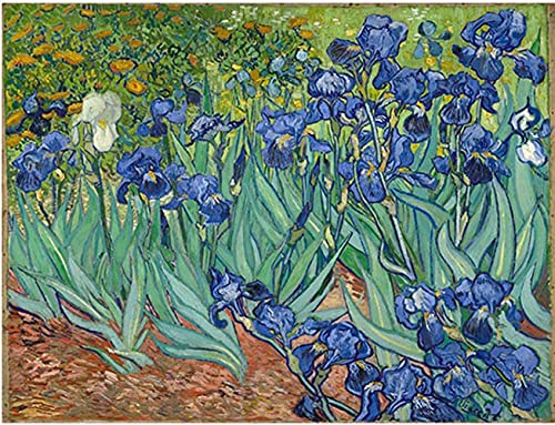 Wowdecor Paint by Numbers for Adults Beginner Kids, Number Painting - Van Gogh Iris Flowers 40x50 cm - Wall Art Gifts (Flowers, Framed)