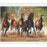 DIY 5D Diamond Painting Kits for Adults, Full Drill Embroidery Pictures Arts Crafts for Home Wall Decor Dislocated Wild Horse 15.7 × 11.8Inches