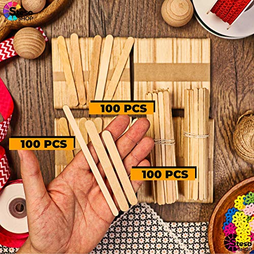 Popsicle Stick Craft Supplies 300pcs - Premium Quality - Jumbo Craft Bulk Popsicle - Mixed Sizes Assorted Multi Mini Large Wood Stick Strips Wax - Craft for Kids…