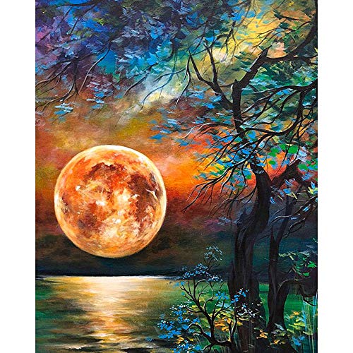 Hlison DIY Paint by Numbers for Adults Beginner, Moon Easy Paint by Numbers for Beginner, Acrylic Watercolor Paint by Number for Kids, Painting by Numbers Perfect for Gift Decor 16x20 Inch