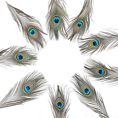 60 PCS Real Natural Peacock Eye Feathers 10-12 inch for DIY Craft, Wedding and Holiday Decorations