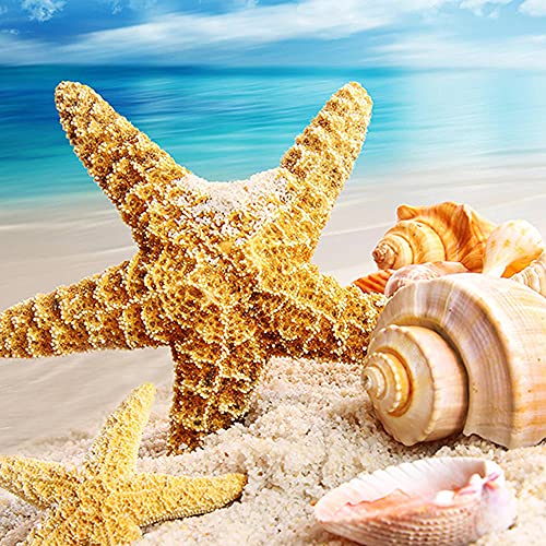 QUITEDEW Beach Diamond Painting Scenery，Beach Diamond Art Shell，Seaside Diamond Painting Starfish Conch，5D Diamond Painting Kits for Adults and Kids 12x16 Inch