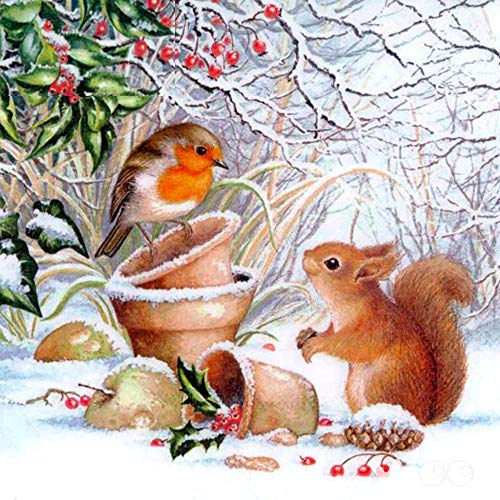 LVIITIS DIY 5D Diamond Painting Squirrel and Bird Kits for Adults Full Drill,Diamond Arts Dots Pictures Arts Craft for Home Wall Decor(12 * 14inch/30 * 40cm)