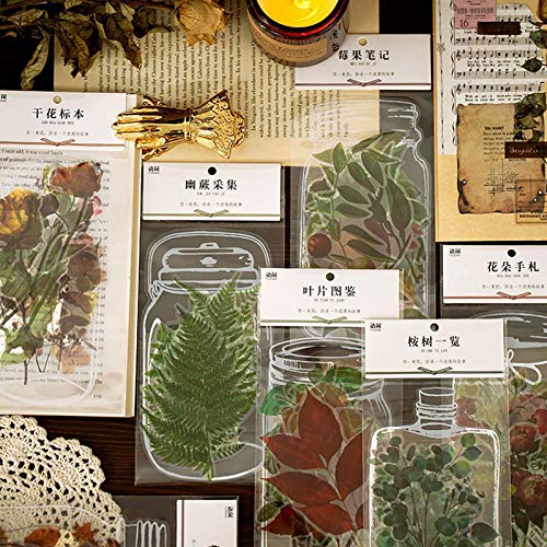 Maxleaf 88PCS Clear Fresh Plants Flowers Leaves Waterproof Stickers for Art Journaling Planners Scrapbook Laptops DIY Album Decoration, 8Series Vintage Stickers for Journaling (Plants Collection)