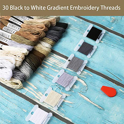 Pllieay 30 Skeins Black to White Gradient Grey Embroidery Floss, Cross Stitch Threads Friendship Bracelets Floss with 6 Floss Bobbins, 2 Embroidery Needles and Needle Threader