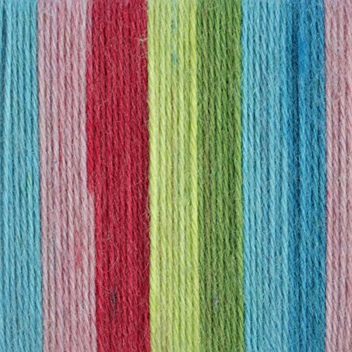 Patons Kroy Socks Yarn - (1) Gauge - 1.75 oz - Meadow - For Crochet, Knitting & Crafting