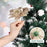 NUOBESTY Christmas Poinsettia Flowers Glitter Poinsettias Christmas Tree Ornaments Artificial Flowers for Christmas Tree Decoraiton with Stems and Clips, 12 Pieces (Champagne Color)