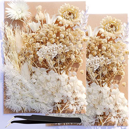 2 Pack White Dried Pressed Flowers, Real Plant Leaf Flower with Tweezers for Resin Molds Scrapbooking Supplies Wedding Bouquet Jewelry Making (White)