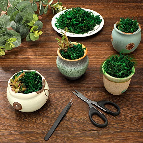 WILLBOND Artificial Moss Green Dried Moss Decorative Fake Bulk Moss for Flower Plant Garden Lawn Crafts Wedding Decoration