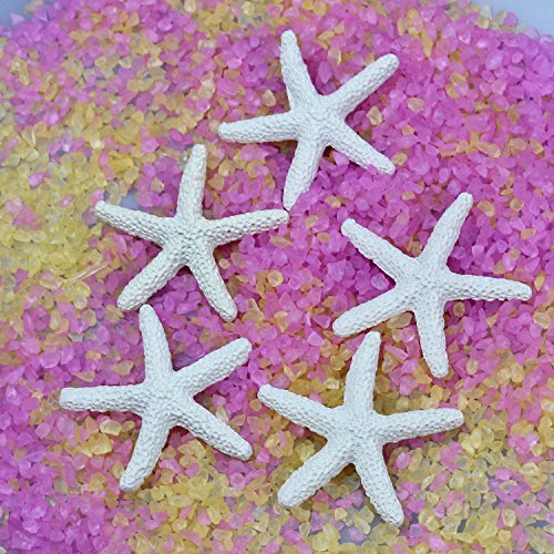 LJY 25 Pieces Beige Resin Pencil Finger Starfish for Wedding Decor, Home Decor and Craft Project, 2.3 Inches