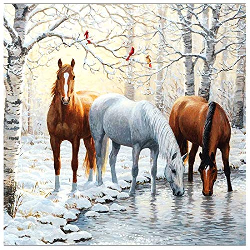 DIY 5D Diamond Painting Horse by Number Kits Winter Snow Paint with Diamond Art Animal Cross Stitch Full Drill Rhinestone Embroidery Pictures Arts Craft for Home Wall Decor Gift-12X12inch