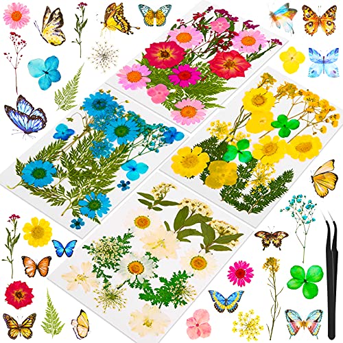 160Pcs Dried Pressed Flowers Butterflies for Resin Molds, Natural Real Dry Flower Leaves Bulk with 80Pcs Transparent Butterfly Stickers Tweezers for DIY Arts Crafts Scrapbooking Candle Making Supplies