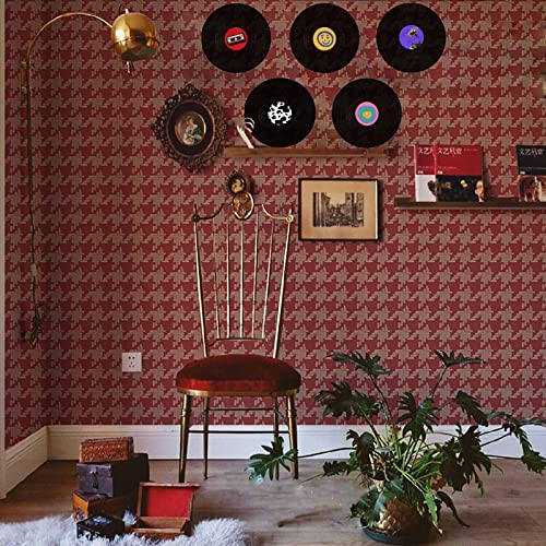 FACHPINT 12 inch Fake Records 5 Pieces in 1 Pack, Records for Wall Aesthetic, Viynles Record Decor, Blank Vinyl Records for Wall, Fake Vinyls for Room Decor, Room Decor Aesthetic, Vinyl Decor