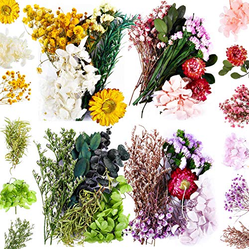 4 Bags Natural Dried Pressed Flowers Leaves Set, Mixed Dried Flowers Colorful Real Dry Flowers for DIY Candle Resin Jewelry Nail Crafts Pendant Floral Decoration Supplies