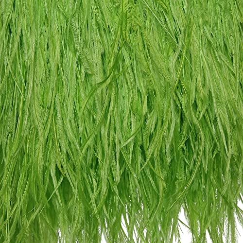 Ostrich Feathers Sewing Fringe Trim Ribbon for Crafts Clothes Accessories Latin Wedding Dress DIY 2-5 Yards 3-4inch Width (5 Yards, Fluorescence Green)
